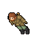 bandit
