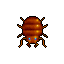 bug