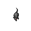 cave rat