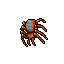 poison spider